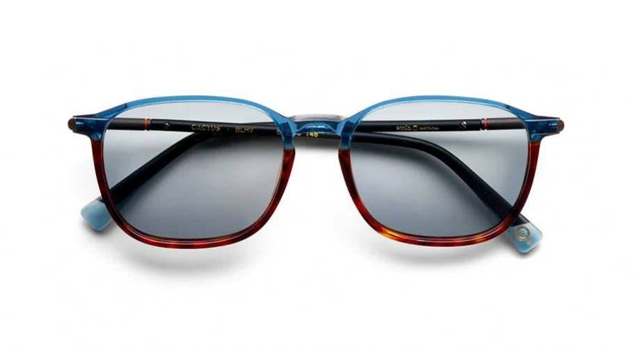 Etnia Barcelona CACTUS Sunglasses - view 30